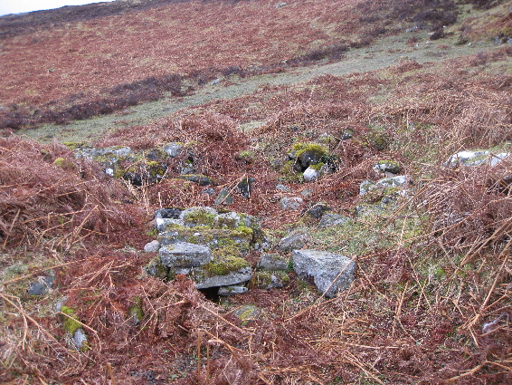 Lime kiln at Auchdrumnahuagie